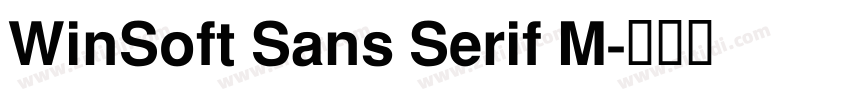 WinSoft Sans Serif M字体转换